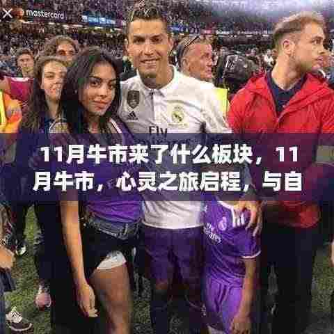 11月牛市,启程心灵之旅,探寻板块潜力与自然美景的不解之缘