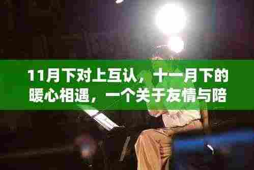 暖心相遇,11月的友情与陪伴故事
