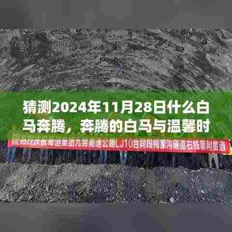 奔腾白马与温馨时光,友情与未来的故事,预测2024年11月28日