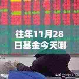 揭秘往年11月28日基金表现，涨跌分析及其未来展望