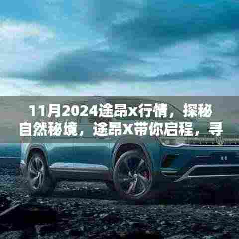 途昂X探秘自然秘境,启程寻找宁静与乐趣的十一月行情之旅