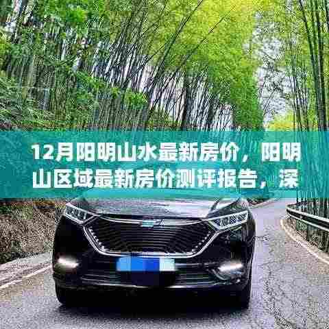 阳明山水最新房价测评报告,深度解析楼盘特性与优劣,十二月阳明山区域房价走势分析