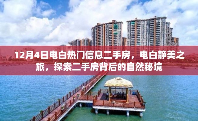 电白热门二手房信息揭秘,静美之旅背后的自然秘境探索