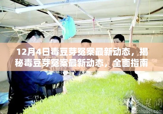 毒豆芽冤案最新进展揭秘,全面指南助你应对