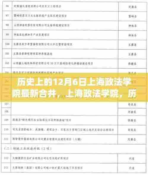 上海政法学院合并日,历史与未来的交汇,探寻小巷特色小店