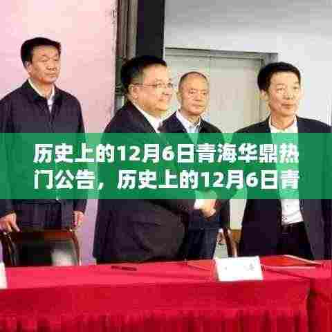 历史上的12月6日青海华鼎热门公告深度解析与介绍