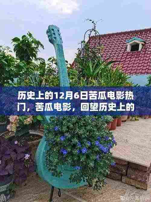 回望历史上的十二月六日,苦瓜电影热门回顾