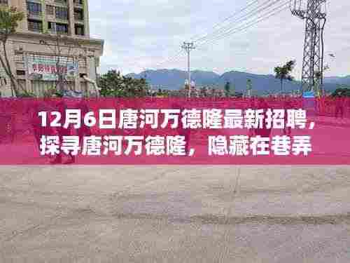 唐河万德隆最新招聘，探寻独特小店，挑战新职位！