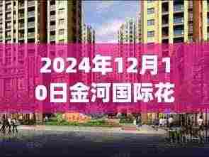 金河国际花苑温馨日常,2024年12月10日的最新阳光故事