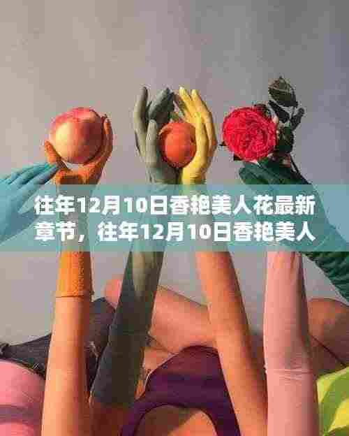 往年12月10日香艳美人花最新章节介绍与评测