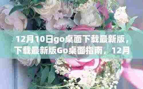12月10日Go桌面最新版下载指南,全新体验一网打尽