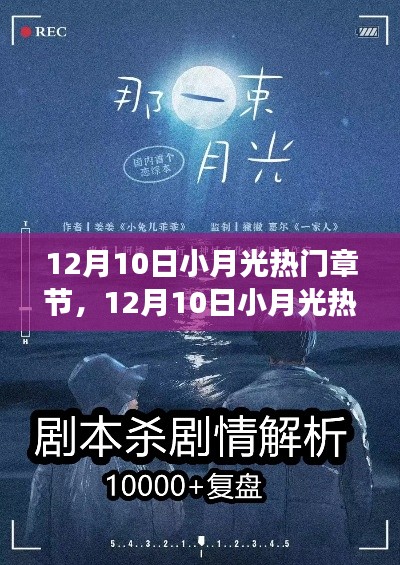 深度解析,小月光热门章节争议与影响