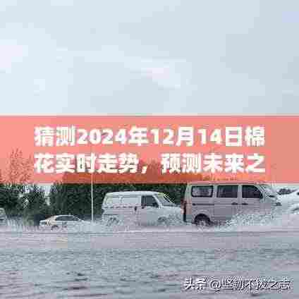 揭秘，如何预测未来之路——2024年棉花市场走势分析展望报告揭秘！