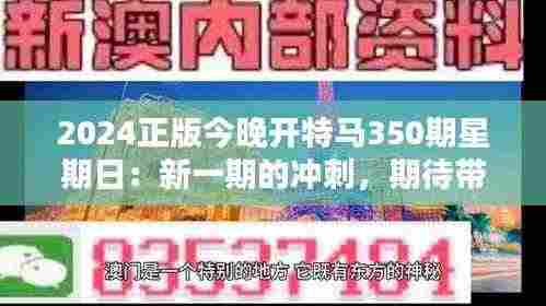 2024正版今晚开特马350期星期日:新一期的冲刺,期待带来好运与惊喜