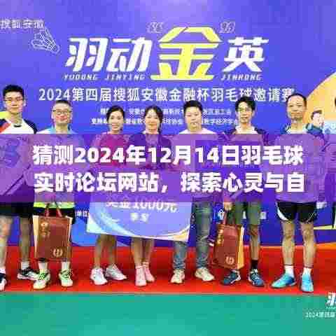心灵与自然美景的旅程,探索未来羽毛球论坛与内心宁静的预测报告(2024年12月14日)
