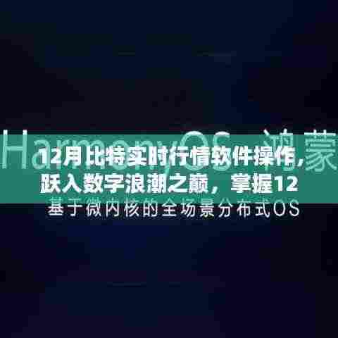 掌握数字浪潮之巅，揭秘12月比特实时行情软件的励志操作之旅