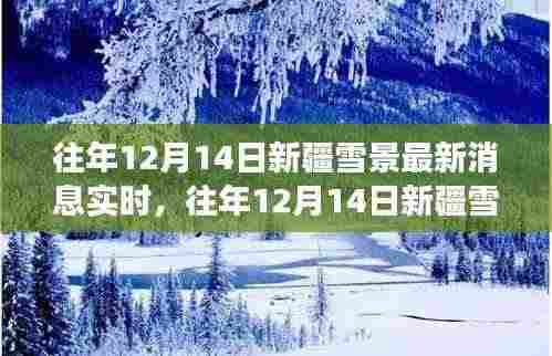 往年12月14日新疆雪景深度解析，视觉盛宴背后的影响与深思