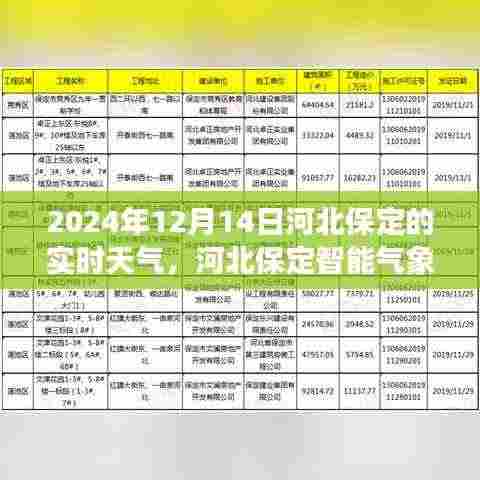 河北保定智能气象预报,体验未来天气的科技魅力,实时天气播报(2024年12月14日)