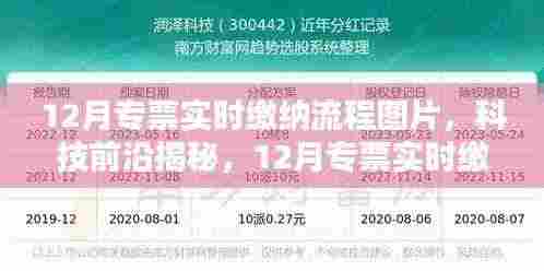 揭秘科技前沿,12月专票实时缴纳流程数字化革新,智能时代专票缴纳流程详解