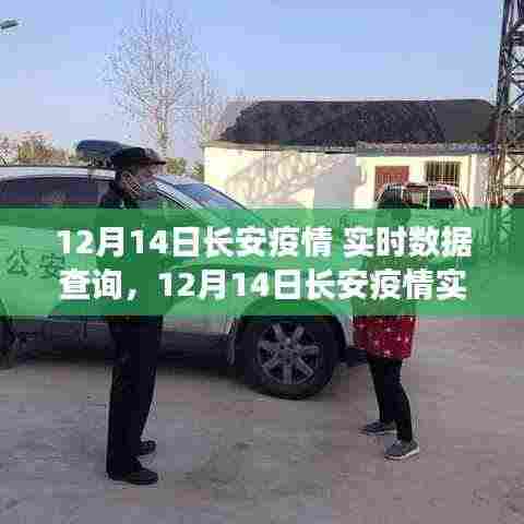 长安疫情实时数据查询,最新动态与防控进展报告(12月14日)