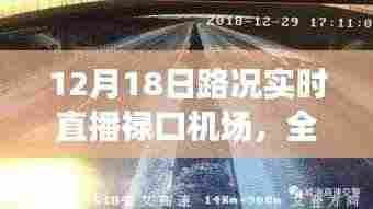 12月18日禄口机场路况实时直播，全面解读