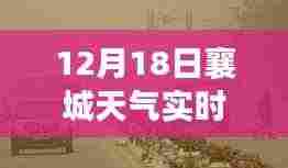 冬日暖阳下的襄城奇遇,天气播报与友情故事的交织