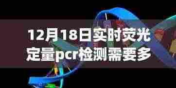 见证变化的力量与时间的魔法,实时荧光定量PCR检测之路在12月18日的探索之旅