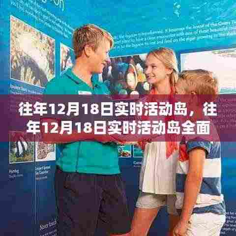 往年12月18日实时活动岛,全面评测与详细介绍