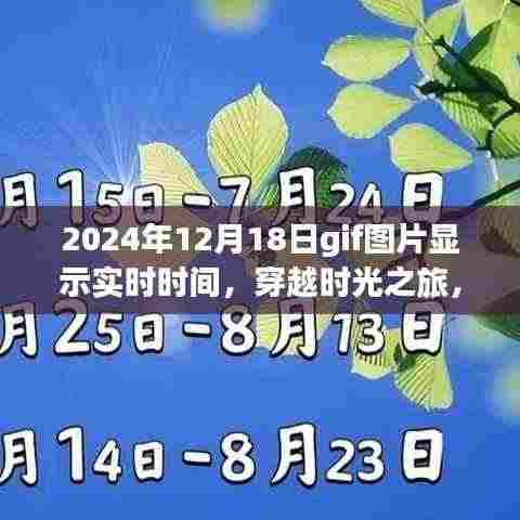GIF图片展示实时时光之旅,穿越自然美景,启程寻找内心宁静的旅程