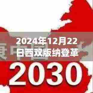 2024年12月22日西双版纳登革热实时新闻聚焦,疫情进展与观点碰撞