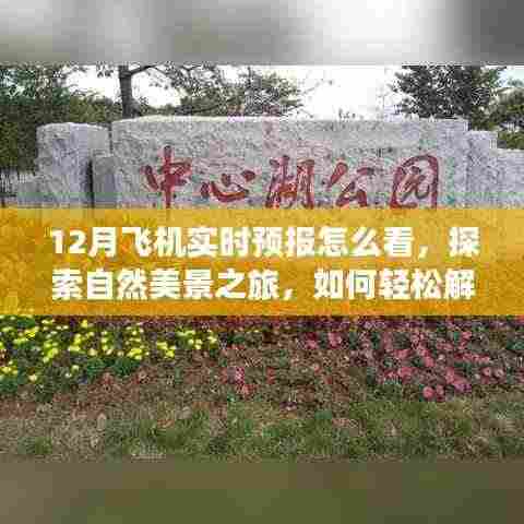 探索自然美景之旅,解读飞机实时预报,启程寻找宁静之地