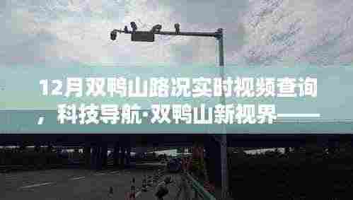 科技导航·双鸭山新视界,智能路况实时视频查询系统,驾驭智能出行新时代