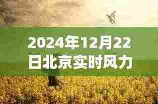 北京之风，探寻内心平静的旅程——2024年12月22日北京实时风力报告