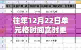 往年12月22日单元格时间实时更新解析,奥秘与应用探索