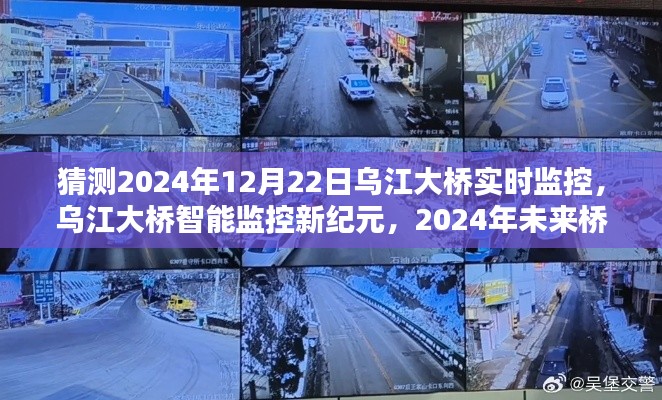 乌江大桥智能监控新纪元,科技瞭望未来的桥梁管理