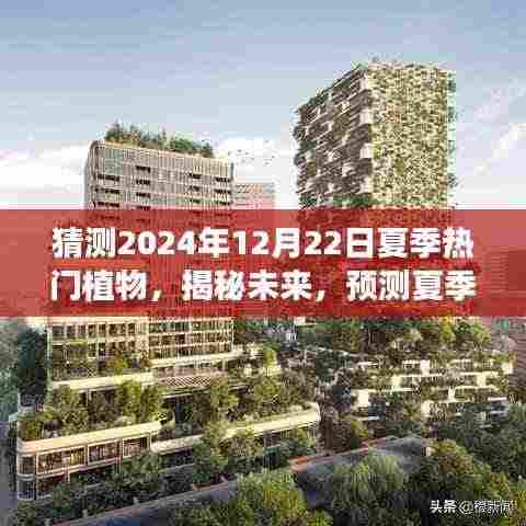 揭秘未来夏季热门植物，预测2024年12月22日植物流行趋势
