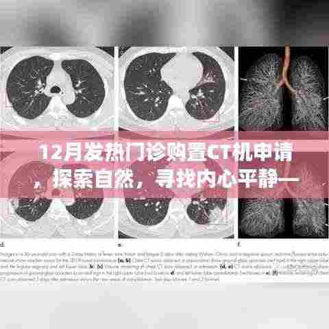 发热门诊CT机升级申请,探索自然与内心平静的旅程