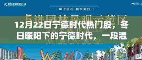 冬日暖阳下的宁德时代，热门股的投资故事