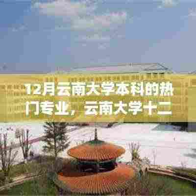 云南大学十二月热门本科专业深度解析，价值与挑战探索