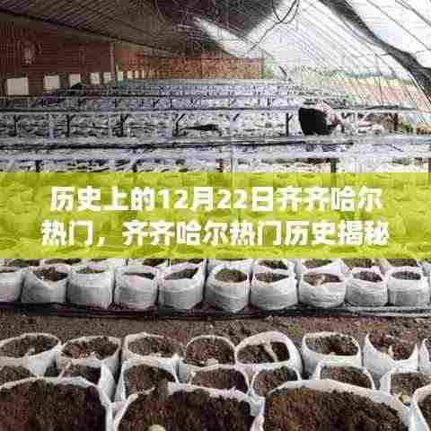 齐齐哈尔热门历史揭秘,深度探索历史上的十二月二十二日指南