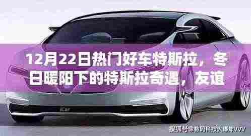 冬日暖阳下的特斯拉奇遇，友谊与爱在特斯拉的传递