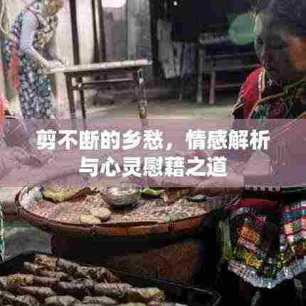 剪不断的乡愁,情感解析与心灵慰藉之道