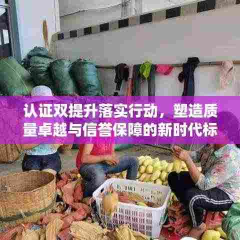 认证双提升落实行动,塑造质量卓越与信誉保障的新时代标杆