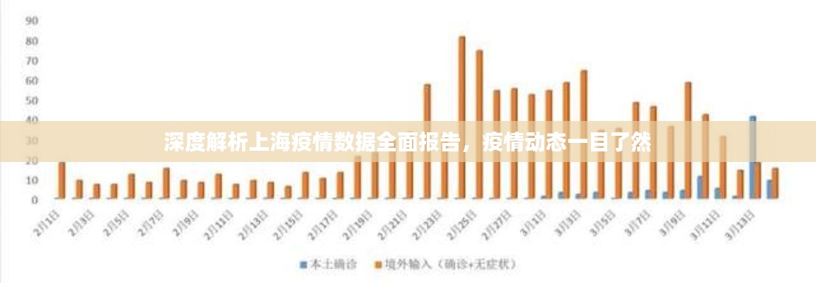 深度解析上海疫情数据全面报告,疫情动态一目了然