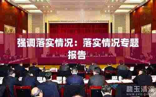 强调落实情况:落实情况专题报告