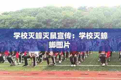 学校灭蟑灭鼠宣传:学校灭蟑螂图片