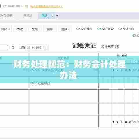 财务处理规范：财务会计处理办法 