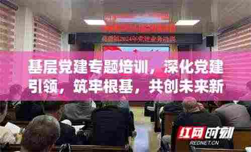 基层党建专题培训,深化党建引领,筑牢根基,共创未来新篇章