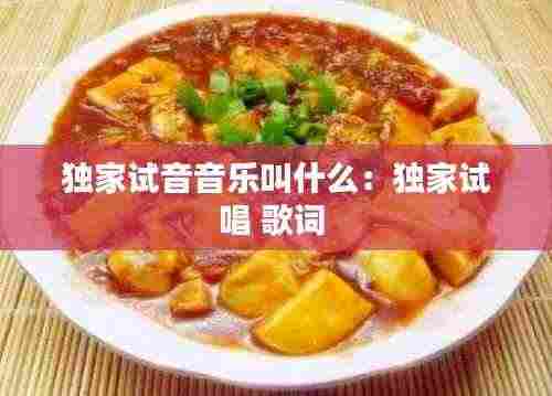 独家试音音乐叫什么：独家试唱 歌词 