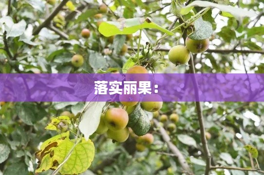 落实丽果: